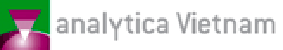 www.analyticavietnam.com